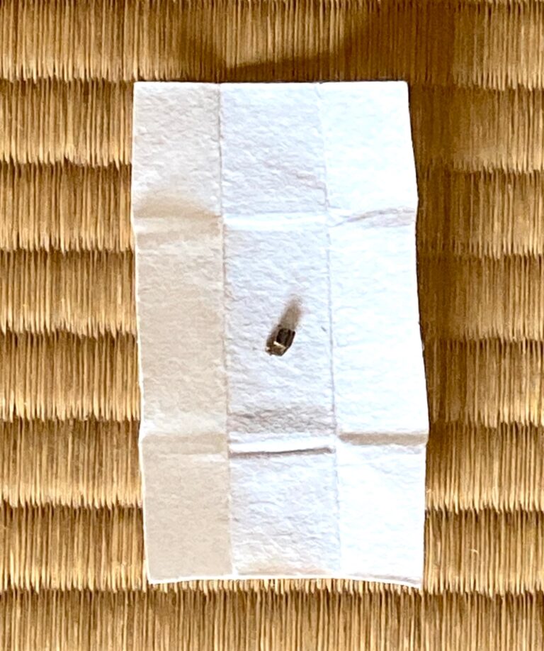 Kaishi: Heart of Paper – Chanoyu Decoded